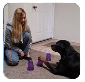 a woman sitting on the floor with a dog