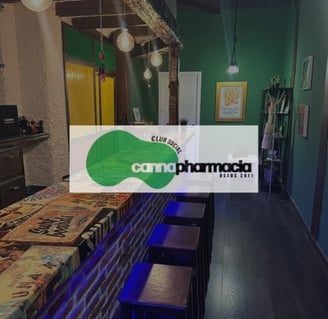  Interior de CannaPharma Club Madrid con barra y decoración verde