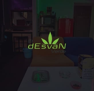  Interior de club cannábico El Desván Verde con logotipo y mobiliario lounge