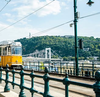 Gelbe Straßenbahn mit Brücke und Bäumen im Hintergrund