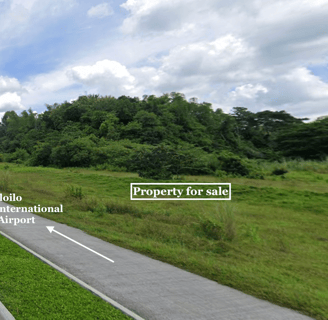 Titled lot along the road for sale near Iloilo Airport and Sta. Barbara Heights
