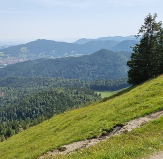 Aussicht vom Gipfel der Baumgartenschneid in Richtung Schliersee