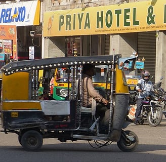 North India private tour
