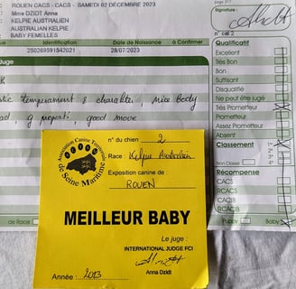 U'éris de la grotte des oneiroi meilleur baby