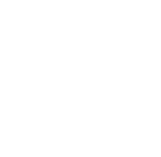 BTCPay Server logo