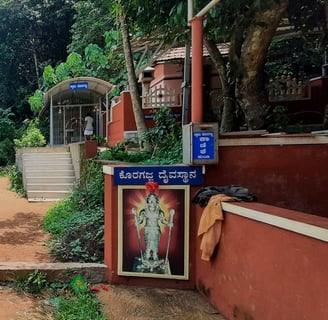 Arbi falls manipal entrance
