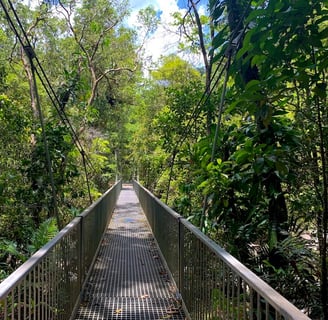 a bridge with a metal bridge and a metal bridge