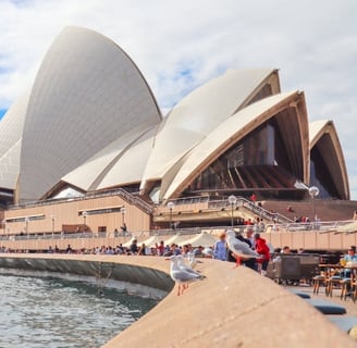 Sydney's Best in Health & Wellness