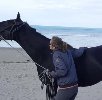 Cheval qui rit sur la plage avec la mer en fond