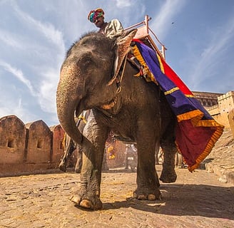 Amber fort - North India tour package