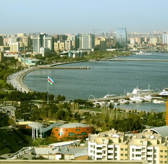 a view of a city with a flag flying in the air