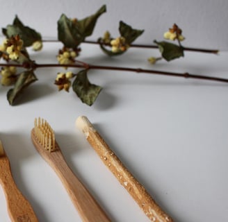 Image of two wooden toothbrushes and a twig