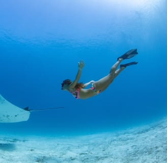 Snorkeling with manta rays