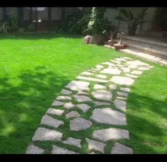 Beautiful backyard with lawn and tiles