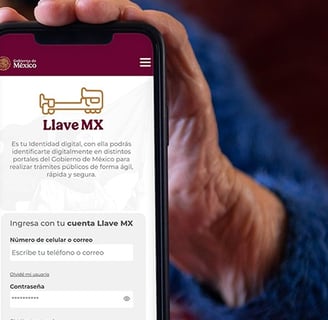 Llave MX y CURP Biométrica como se usan