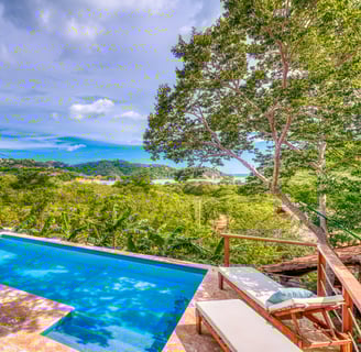 swimming pool overlooking jungle and ocean