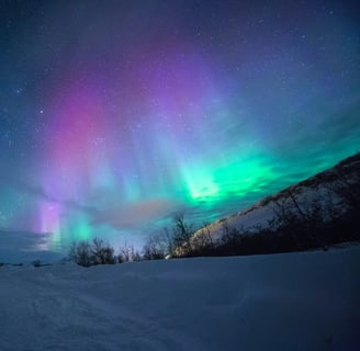 Fairbanks, AK - Aurora Borealis Lights, Glaciers, Denali, and Giants of the Animal Kingdom