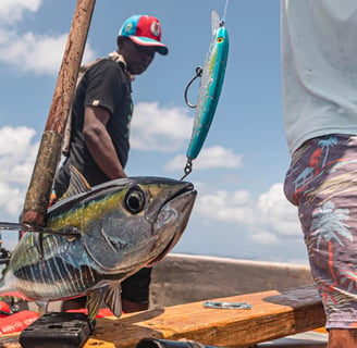 Full day Fishing Charters Zanzibar - Yellowfin tuna rapala