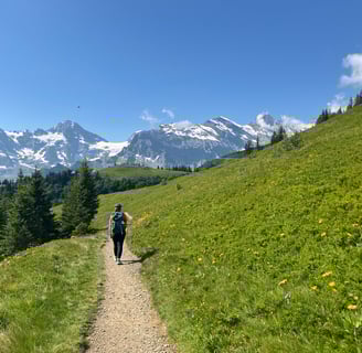 Lovely views from the Mountain View Trail in Mürren