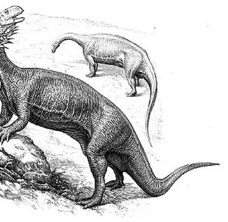 Plateosurus