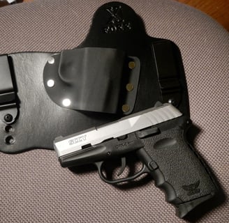 sccy cpx2 and holster