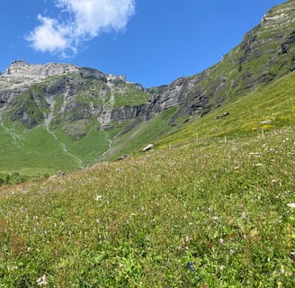Looking up at Birg on the Schilthornbahn