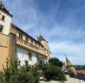 Swiss Cantonal Coat of Arms on the Neuchâtel Castle