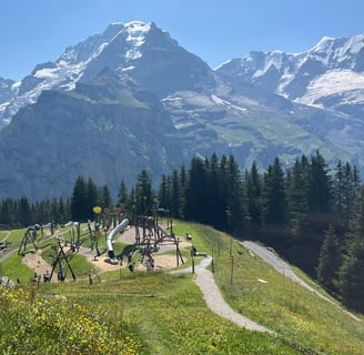 Looking down on Allmendhubel