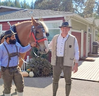 Leavenworth, WA - Horse & carriage ride at Octoberfest, Leavenworth Reindeer Farm