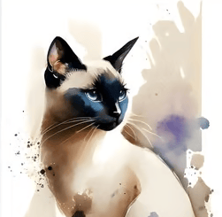 un chat siamois assis sur fond blanc