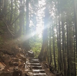 Snoqualmie, WA - The slippery stone steps leading down to Franklin Falls