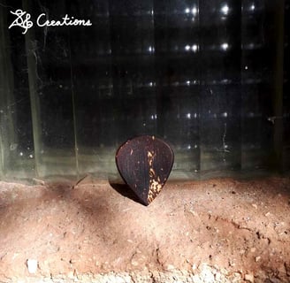 One of our Jazz coconut shell guitar picks in front of a glass brick window.