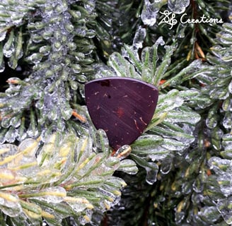 One of our Pythagorean coconut shell guitar picks on top of ice covered pine branches.