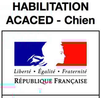 Diplome ACACED éducateur canin Bayonne, Anglet, Biarritz