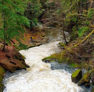 Camas, WA - the fast flowing Lacamas River thru the forest at Pothole Falls
