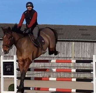 cavalier à l'obstacle