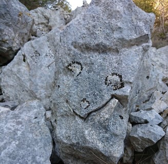 pareidolie rocher qui sourit