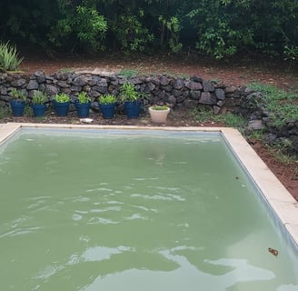 piscine-sale-boue