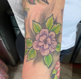 fully healed