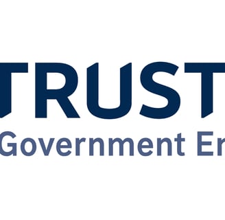 a logo for the trustmark corporation trust mark
