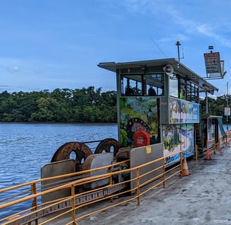 Daintree river ferry