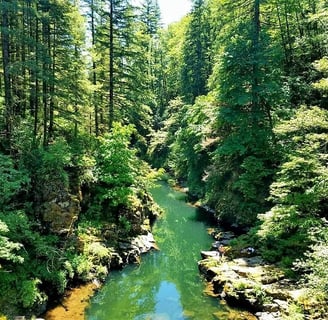 Yacolt, WA - the emerald waters of Lewis River flow thru a thick green forest