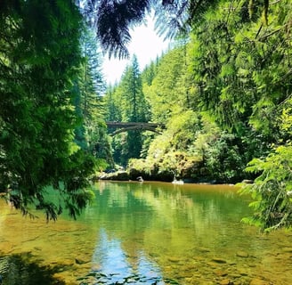 Yacolt, WA - Looking at Moulton Falls Bridge, green forest & clear emerald water