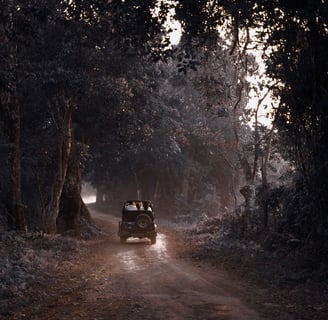 jeep safari in ranthambore national park