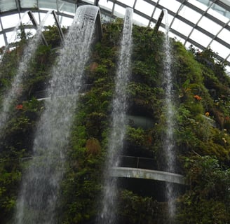 Photographie à l’intérieur de la Forêt de nuages de Singapour