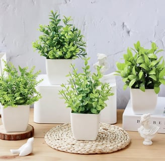 Roqueen 4 Piezas Plantas Artificiales Mini Ecologización Artificiales Macetas Plantas Plásticos Plan