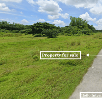 Titled lot along the road for sale near Iloilo Airport and Sta. Barbara Heights