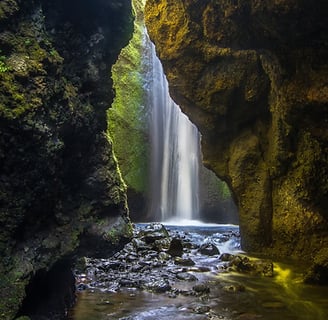 Nauthúsagil – A Mossy Wonderland