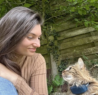 Chat