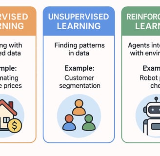 catégorie du machine learning